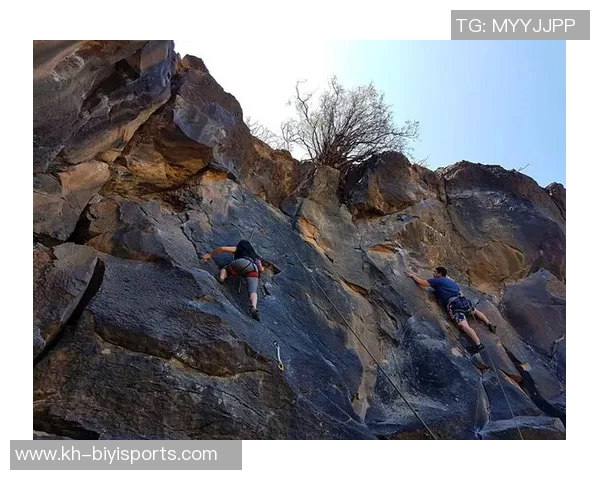 武汉攀岩队在运动攀岩中的阵地战得失分析与反思